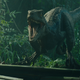 Blue is the last thing we see, save for the end credits, in Jurassic World: Fallen Kingdom.